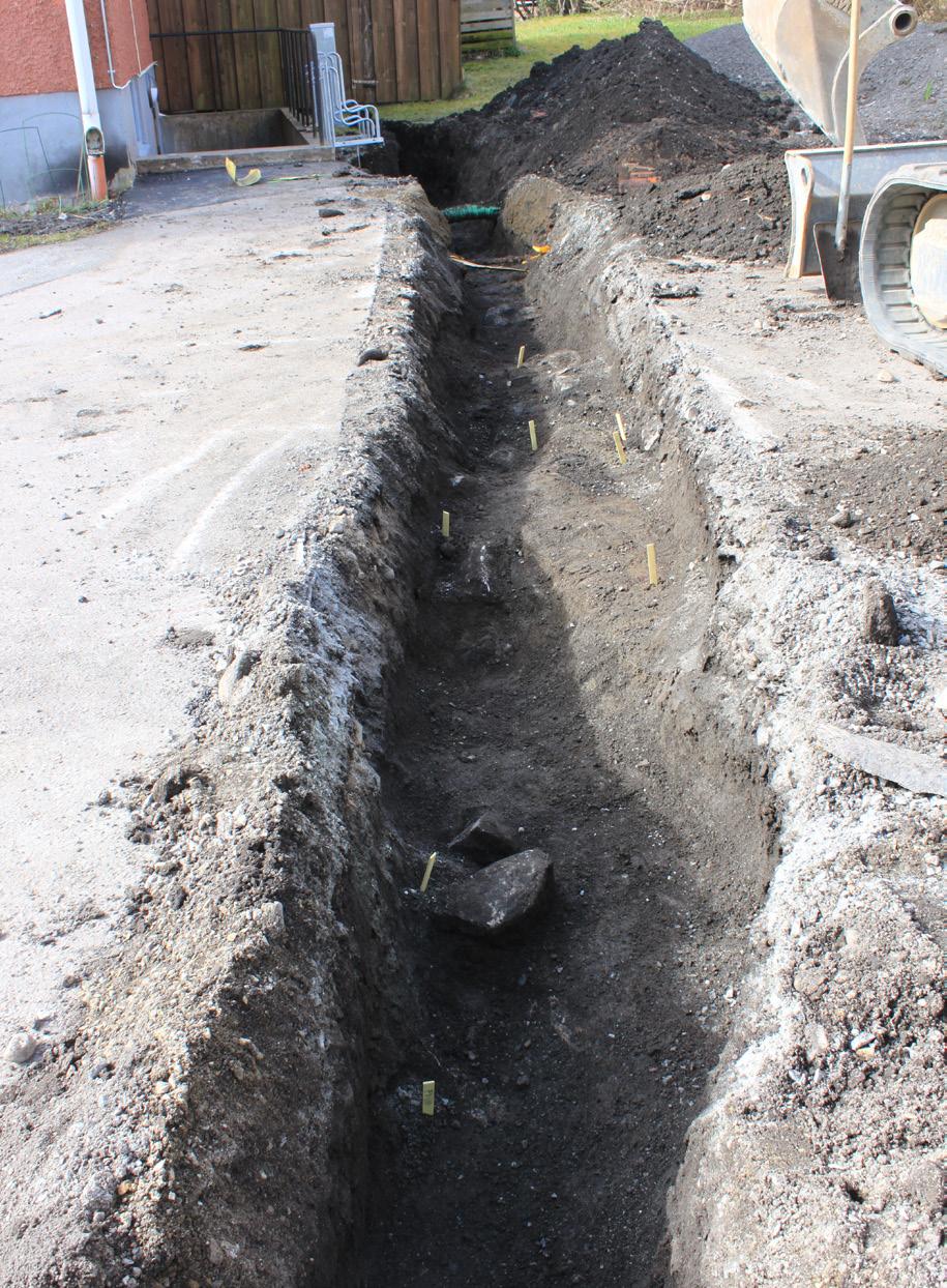 Grågula lerlager har flera gånger påträffats i samband med arkeologiska undersökningar i Sigtuna stad, och där tjockleken på dessa kan variera från ett par centimeter upp till