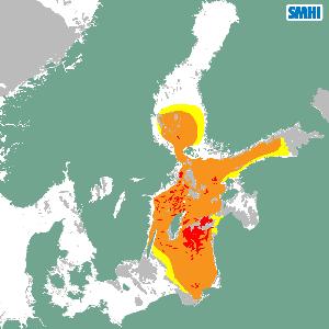 Kärnkraft och algblomning Hanhikivi 1 Algtillväxt Olkiluoto Lovisa Forsmark Oskarshamn Sosnovyi