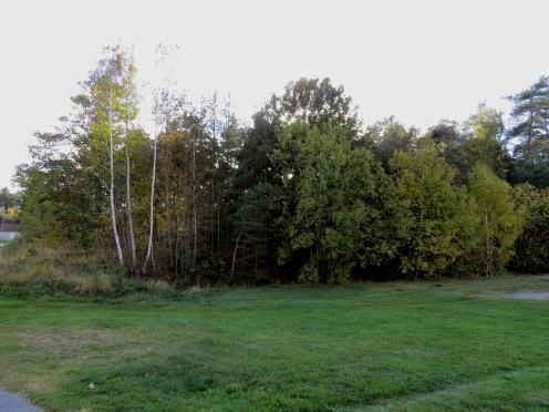 1 Inledning EnviroPlanning AB har på uppdrag av Stenungsunds kommun gjort en bedömning av påverkan på fladdermusfaunan inom detaljplaneområde Solgårdsterrassen.