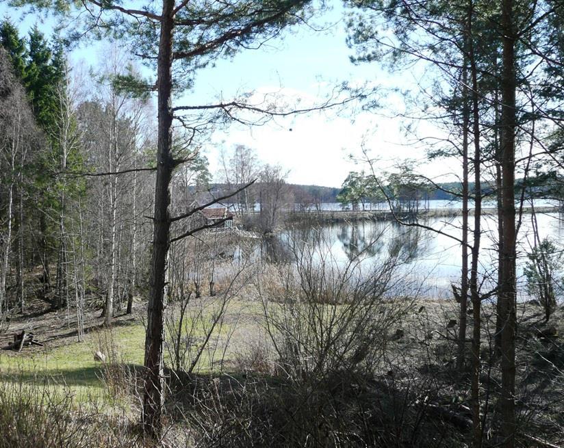 När Trafikverket var väghållare för Tenbäcksvägen breddades denna. Vägen ligger på fastigheterna Kungsbacken 3:2, 3:4, 3:6 och Röhälla 5:1 och 5:94.