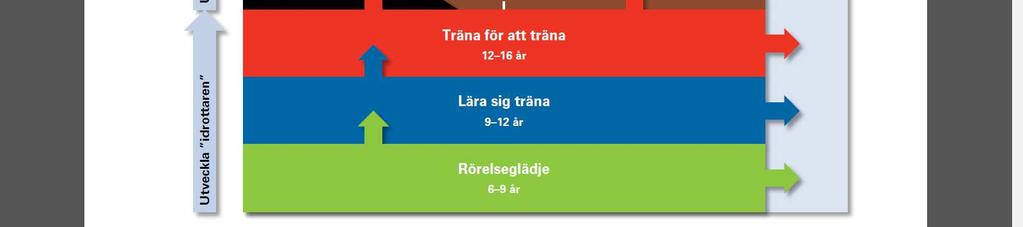 I vår modell står därför inte bredd och topp i motsatsställning. Åldern 10-12 år: Under den här perioden ökar skillnaderna mellan barnen eftersom de mognar i olika takt.