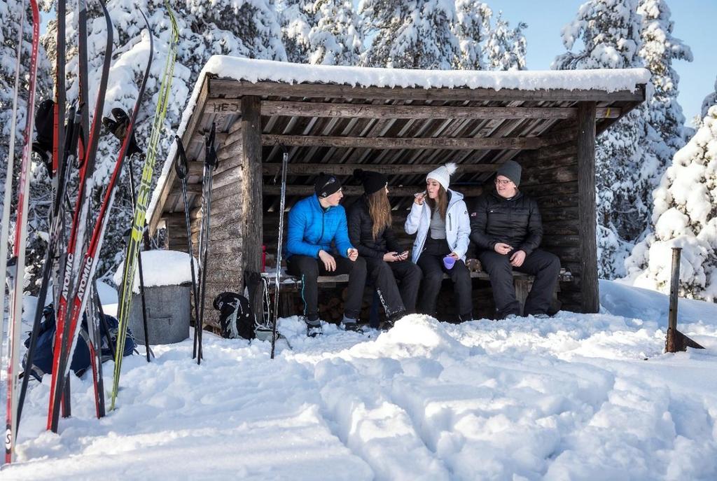 4.5 Transport till och från fritidsaktiviteter Tabell 4.13. redovisar på vilket sätt de svarande brukar färdas till och från sina fritidsaktiviteter för åren 2012 och 2018.