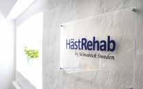 olika behanlingsformerna på www.hastrehabskonaback.se.