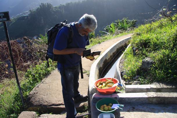 Madeira, Santo da Serra Funchal, 7 nätter 3(8) för dig har du några odlingar och det dovt mullrande havet.
