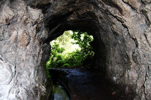 Madeira, Santo da Serra Funchal, 7 nätter 4(8) regnskogen in i den vilda dalen Ribeira Grande. Levadatunnel Du passerar fyra tunnlar varav en av dem har en sidoöppning med en fantastisk vy över dalen.