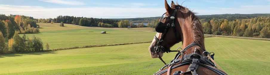Med kvalitetsstål tillverkas inredningarna efter kundens önskemål och efter gällande regelverk. Sortimentet är flexibelt för att du som kund ska kunna anpassa din stallmiljö som du vill ha den.