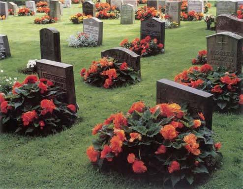Foto: Tord Karlsson Planteringslådor för gravrabatter fungerar på samma sätt som självvattnande krukor eller karl för blommor