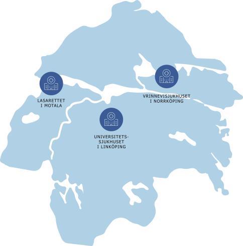 Utredarna antecknade stödord under intervjuernas gång och anteckningarna renskrevs i efterhand. Intervjuerna analyserades därefter genom att kategorisera svaren under respektive tema.
