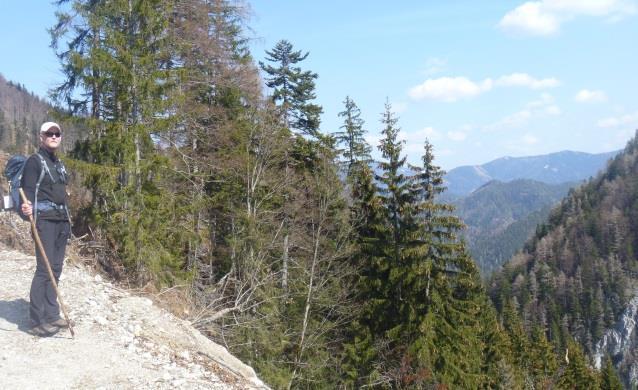 Veit börjar dagens andra bergspass som tar dig uppför berget Staff (786 m.ö.h.) och förbi Leopoldseder. Denna sträcka vandrar du längs grusvägar och vackra bergsstigar.