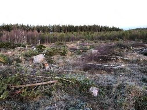 Väddnätfjäril på Econovas mark, Älvkarleby kommun Författare: Pär Eriksson och Elisabet Odhult Bakgrund Inom arbetet med ÅGP har Upplandsstiftelsen och Länsstyrelsen tagit fram en landskapsplan för