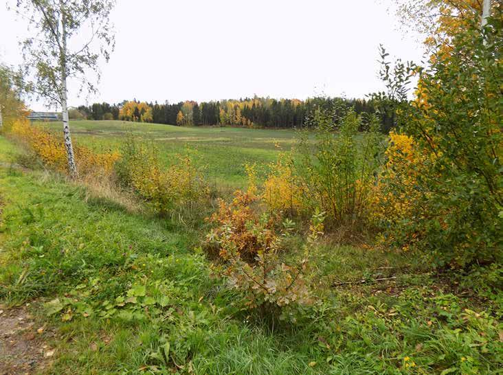 Arkeologgruppen AB rapport 2018:54 Resultat Figur 3. Del av objekt 1 med den lägre liggande våtmarken i bakgrunden. Foto från nordöst.