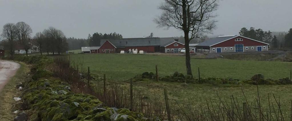 Beskrivning av demogården Kalset Lantbruksföretaget Kalset Mjölk ägs och drivs av Anna och Hans Samuelsson i byn Kalset i Skeppshult, Småland, nära gränsen till Halland.