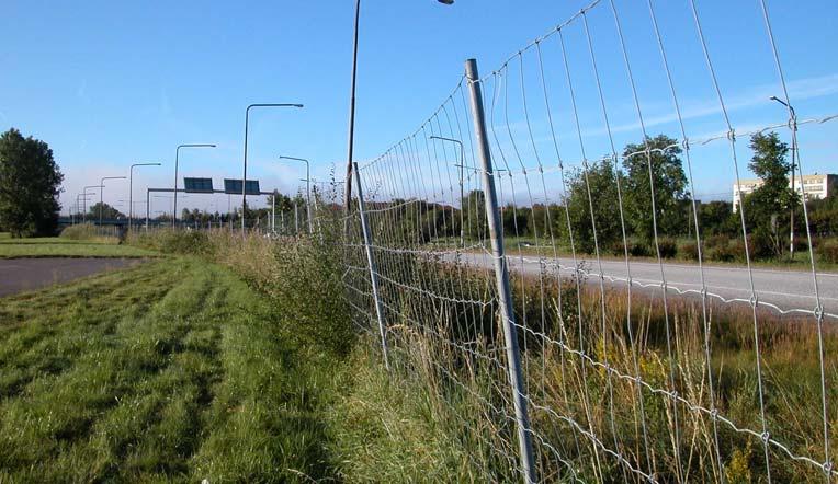 Verksamheten i områdets östra del utgörs idag av dagligvaruhandel, hamburgerrestaurang, bensinstation och ett antal mindre verksamheter.
