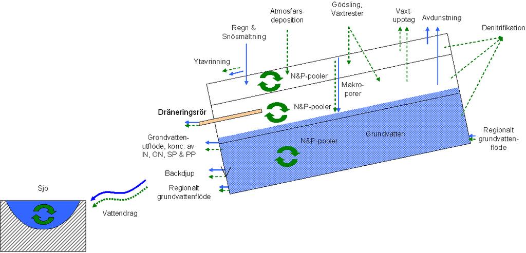 2 BAKGRUND I detta avsnitt presenteras HYPE-modellens historik och en översiktlig beskrivning av dess hydrologiska processer.