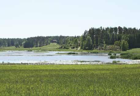 nyttor och kostnader utöver minskade växthusgasutsläpp.