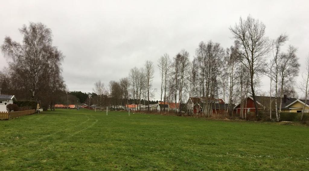 FÖRUTSÄTTNINGAR, FÖRÄNDRINGAR OCH KONSEKVENSER Natur Mark och vegetation Området består av 50 meter bred gräsyta som tidigare utgjorde buffertzon mellan villabebyggelse och jordbruksmark fram till