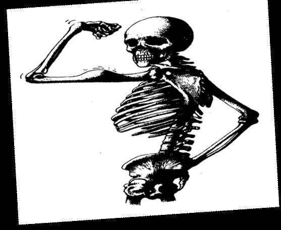 Skelettet är ett benrangel som man släpar omkring på så länge man lever