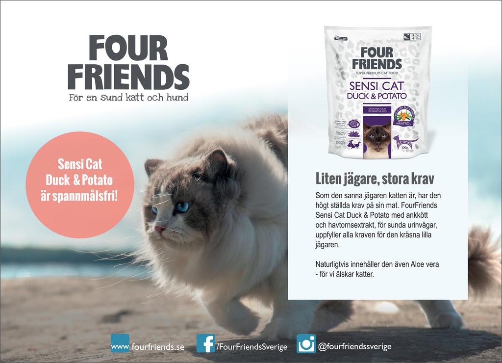 PRISFÖRTECKNING Royal Canins hederspris till alla BIS Four Friends hederspris