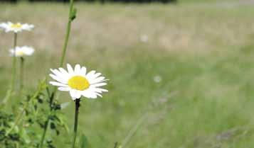 00 i Lyckebo på Sjöliden, Haghultavägen 25. Vandringen avslutas 09.00. 6 juni Nationaldagsvandring Vi besöker Pilgrimscentrum Tyresö och vandrar i Tyresta nationalpark. Lunch ingår.