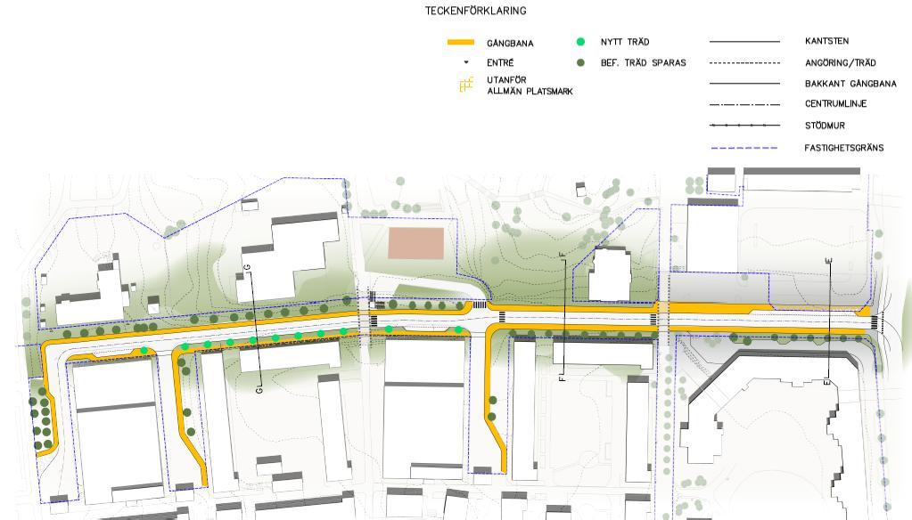 Gångbanorna förbättrar tillgängligheten till gångoch cykelnätet över Bergengatans nivå. Gångbanorna längs med Bergengatan varierar mellan 2-3 meter i bredd.