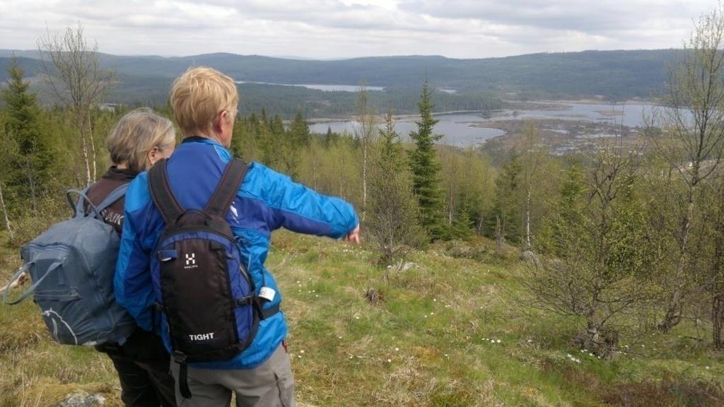 Hur startar det? Det finns ingen generell metod hur orienteringar kommer till.