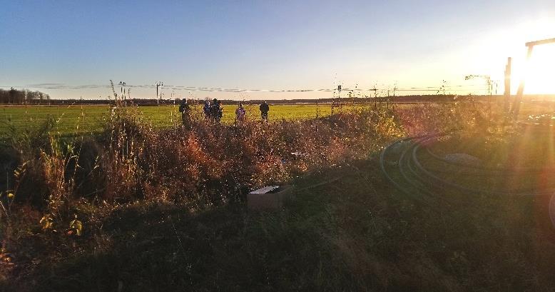 NP-balans Växtbehovsanpassade gödselmedel från biogasanläggningar Sammanfattning av slutresultat mars 2019 Kontaktinformation: Nina Åkerback: nina.akerback@novia.fi Cecilia Palmborg: cecilia.