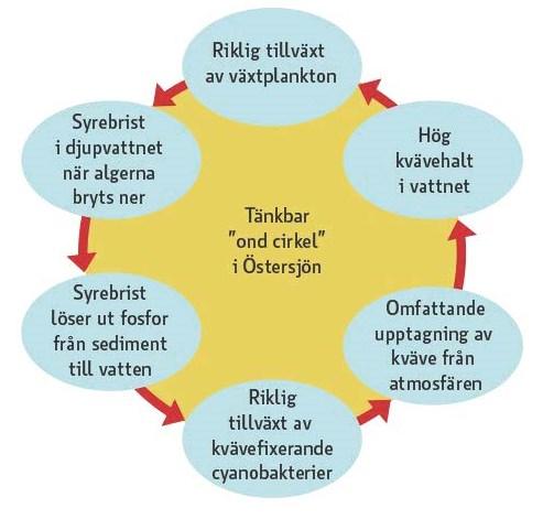 konstruerad. Genom verbalspråket beskriver eleven här istället andra aspekter av det undersökande arbetet, så som frågeställning, hypotes och ett resonemang om orsak och verkan: möjliga felkällor.