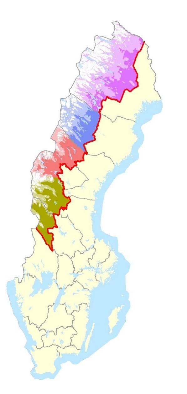 4 3 2 1 Figur 8.1. Uppdelning av nordvästra Sverige i fyra delområden (grönt = 1, Dalarna/södra Jämtland, skär = 2, norra Jämtland, blått = 3, Västerbotten, lila = 4, Norrbotten).