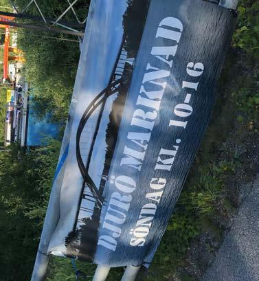 För mer information och bokning: ostprovning@ostmakeriet.se. Vår: 24 maj Höst: 20 sep, 26 okt & 22 nov. Tid 18.00-20.00. Pris 625kr.