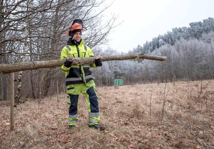 HÄLSOBOKSLUT Foto: Jerry Lövberg Goda exempel 2018 på att skapa ett hållbart arbetsliv Tre arbetsställen blev nominerade till priset Hållbart arbetsliv 2018.