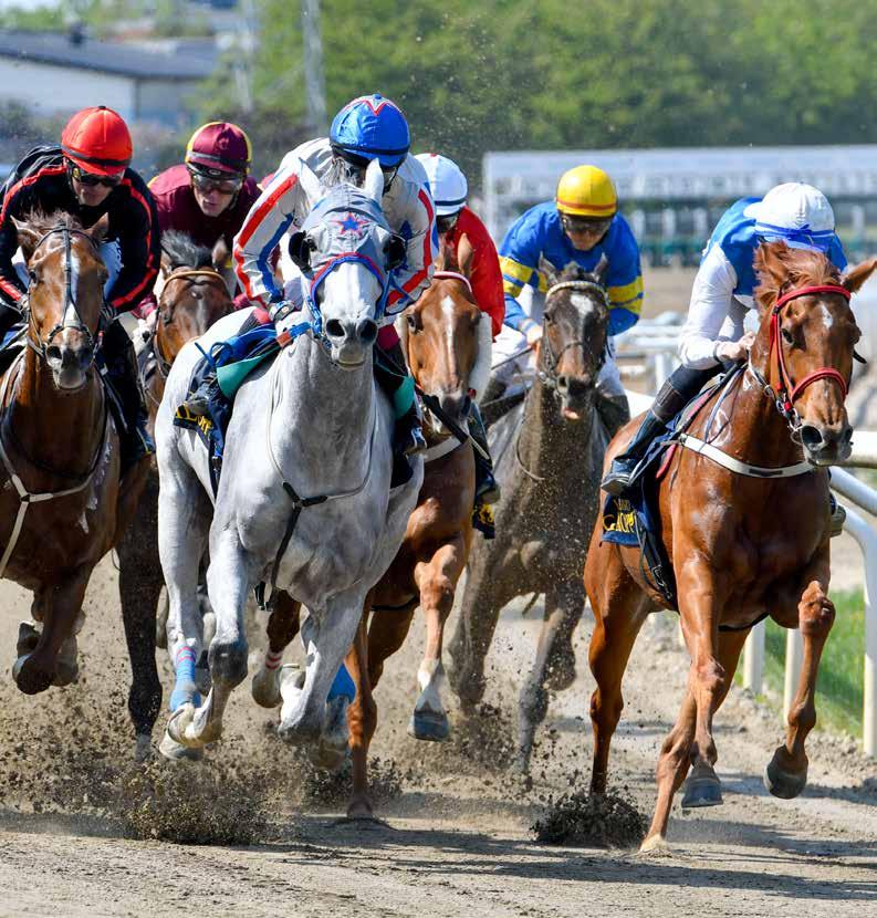 Dagens program 11.00 Entrén öppnar 11.30 Kvallöpning 1 11.50 Kvallöpning 1.0 Lopp 1, V4-1 JÄRNLÖPNING 1.4 Lopp, V4- GULDHANDICAP 13.04 Lopp 3, V4-3, LD-1 SILVERHANDICAP 13.