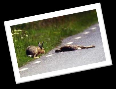 har på naturen och den biologiska