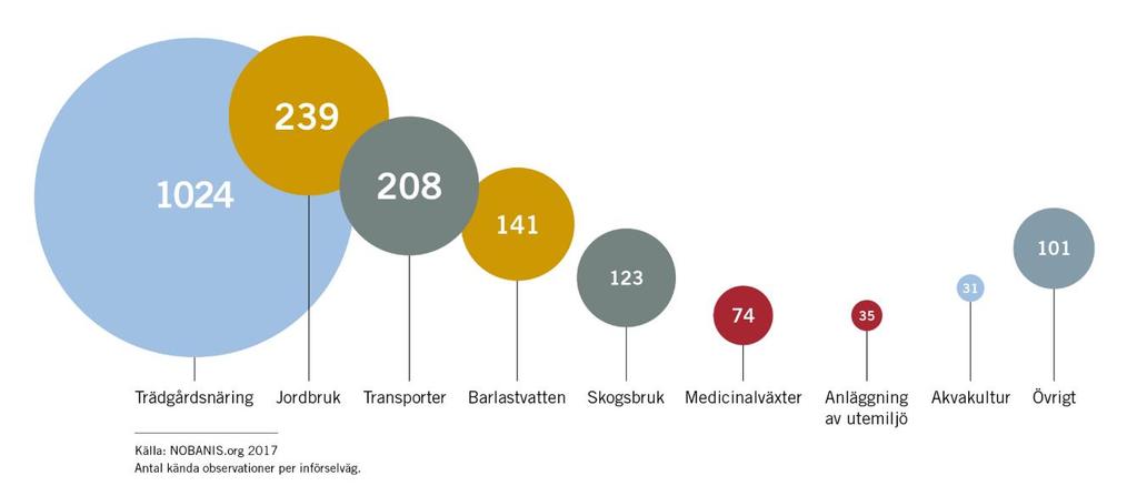 Främmande arter i Sverige
