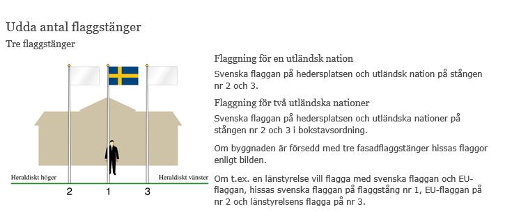 8 6. Bilaga Flaggning för nationella minoriteter: Sveriges flagga i mitten och minoritetsflaggor på bägge sidor. Flaggning med EU-flagga: Sveriges flagga i mitten.