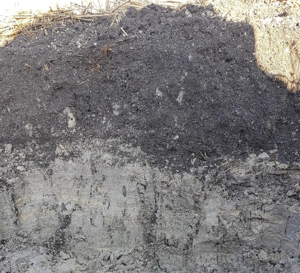 3.1.2 Stenstugu site The high marl content gives a grey tone to the peat layer which is defined as marly peat (Table 7).