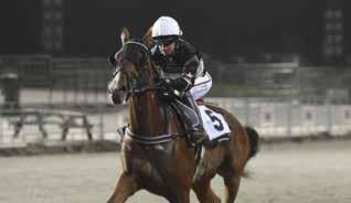 Emilia Leo red ett avvaktande lopp med spelfavoriten, 1,94 i vinnarodds, Sebastian Hall den första biten.