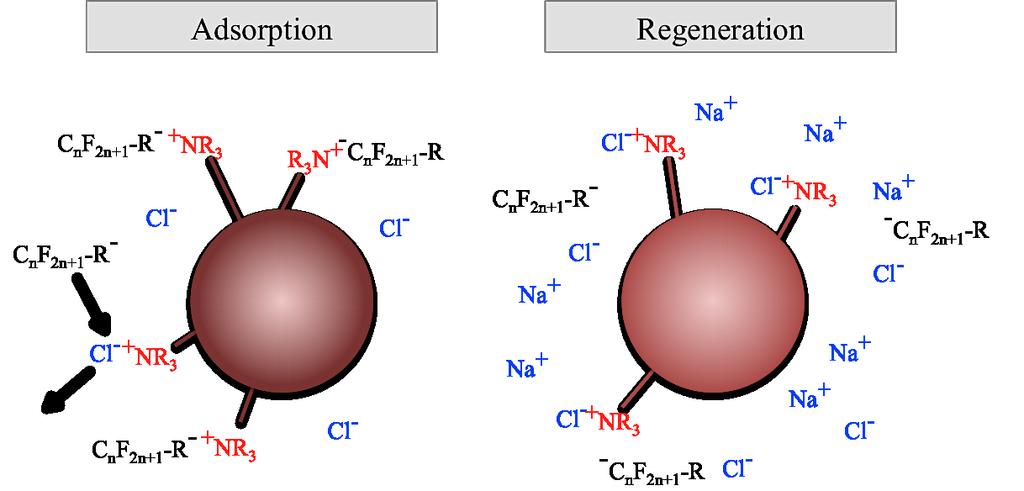 The two main mechanisms for removal through ion exchange resins are electrostatic interactions and absorption via hydrophobic interactions (Rahman et al., 2013).