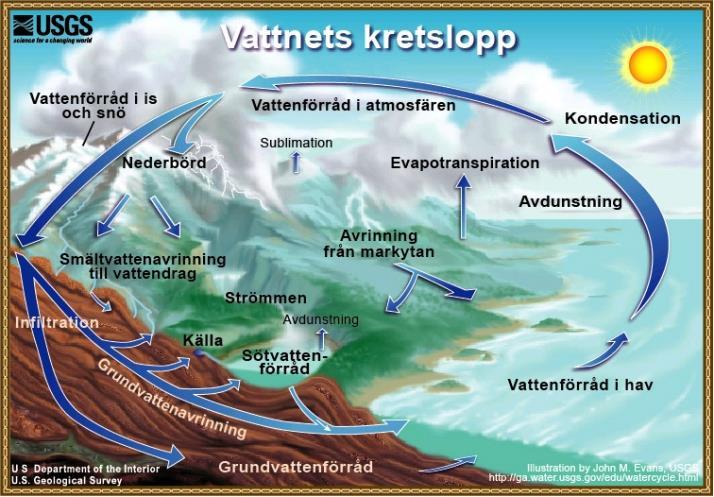 Vi dricker samma vatten som