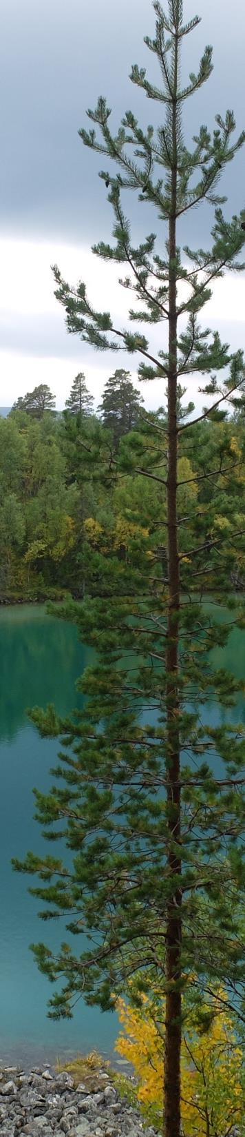 EK kränker naturens inneboende värde När naturen genom EK reduceras till mätbara bytbara enheter kränks naturens inneboende värde, naturen blir enbart ett medel och inte som ett mål i sig Kritik