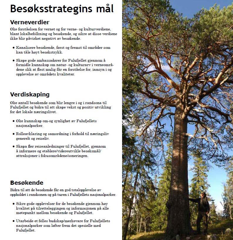 7 Strategin har definierat tre övergripande mål och sju strategiska grep för att nå målen.