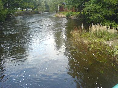 141. Kolbäcksån, Hovgården Län: 19 Västmanland Beskuggning: saknas Koordinater: 6621100/1522850 Datum: 2008-08-30 Vattenhastighet: strömt Provtagningsmetodik: SS-EN 13946 Grumlighet: grumligt