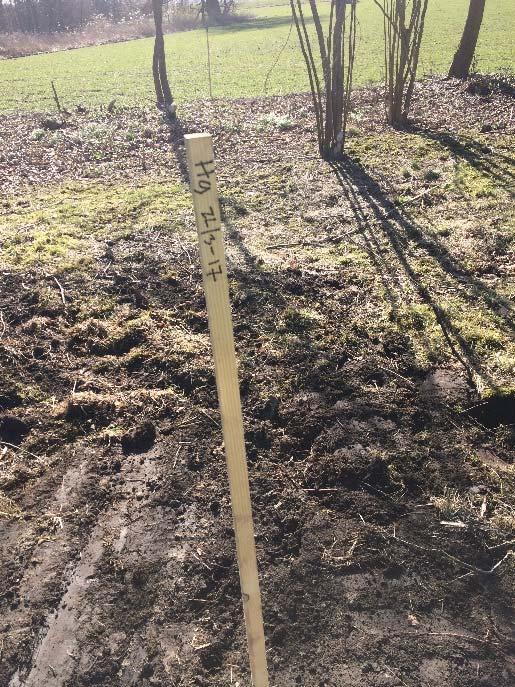 7 Nivåmätning befintliga rör samt installation av nytt grundvattenrör Ett kompletterande grundvattenrör installerades i områdets västligaste del då det saknades mätpunkt för grundvatten i denna del