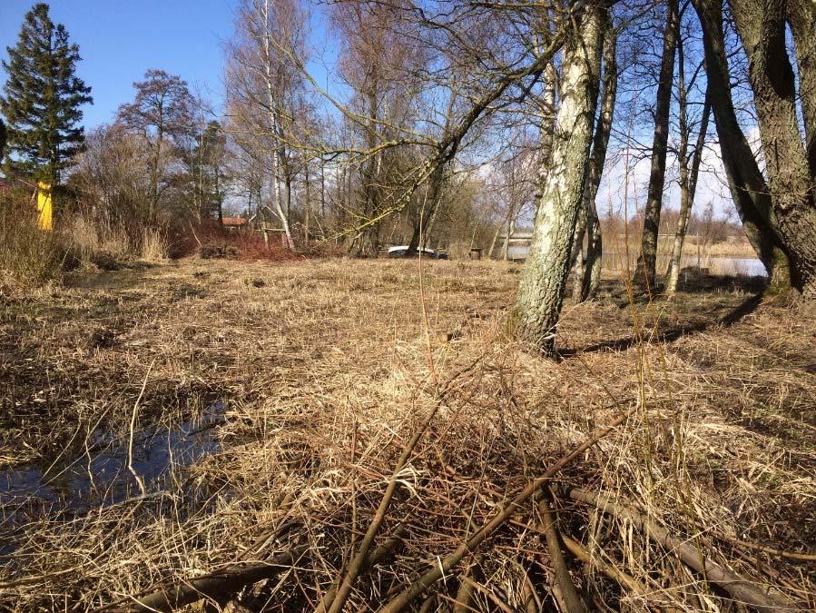 Kävlingeån svämmar tidvis över och marken närmast ån är delvis sumpartad och av sankmarkskaraktär.
