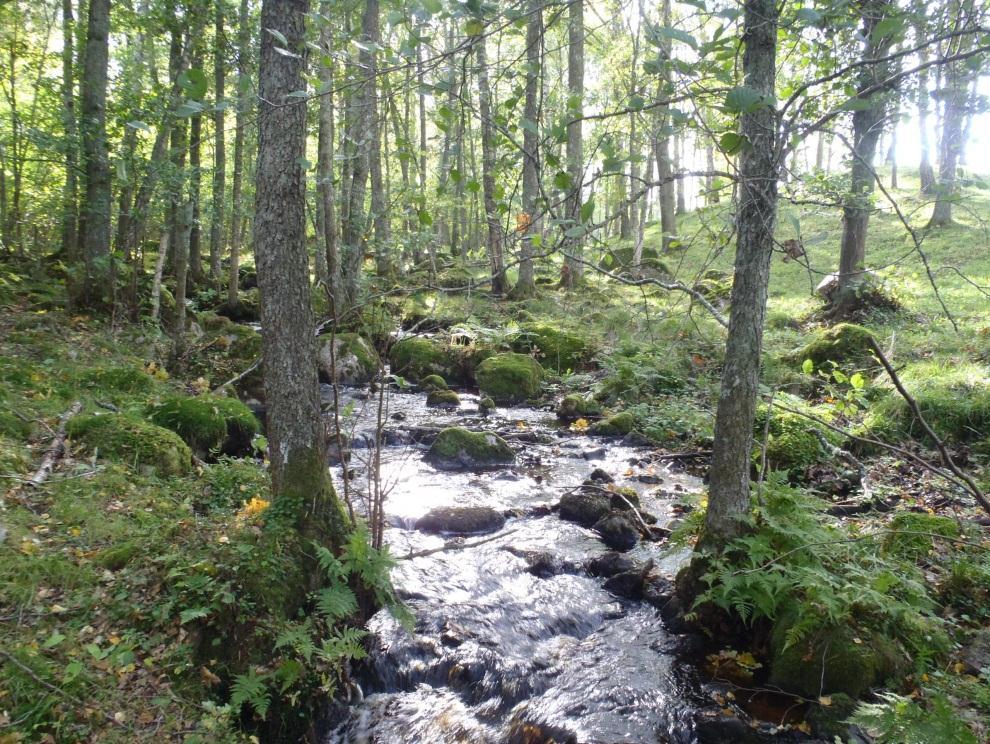 1 Inledning Medins Biologi AB har fått i uppdrag av Länsstyrelsen i Västra Götalands län att utföra kiselalgsanalyser på 22 vattendragslokaler år 2011.