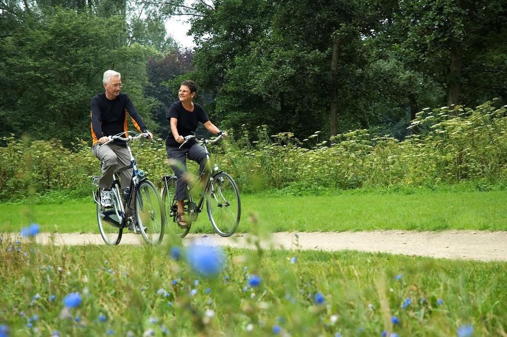 Disposition Mora cykelstrategi 2019 2040 är uppdelad i två dokument, en strategidel och en handlingsplan. Strategidelen innehåller: De mål som har satts för cykelstrategin.