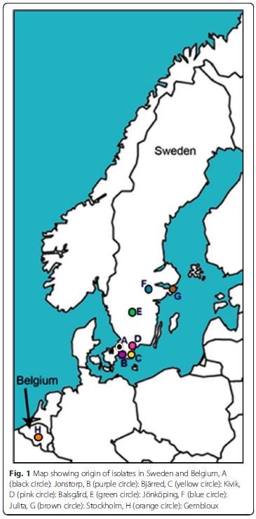 Kunskap om genetisk diversitet är viktig för växtförädling Isolat från flera ställen i Sverige undersöktes med DNA-analyser Ingen tydlig gruppering av isolat beroende på odling eller äpplesort Ingen