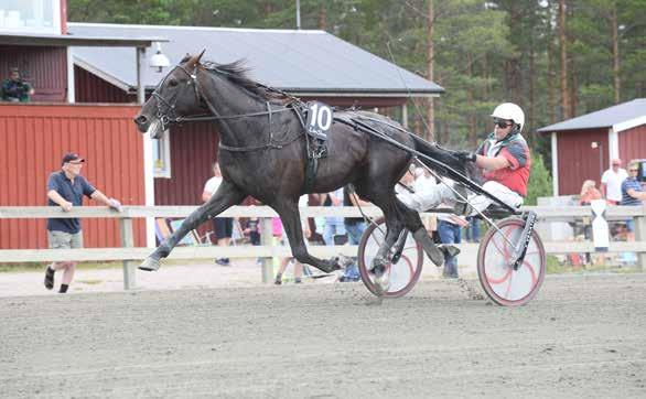 VAGGERYDS TRAVET