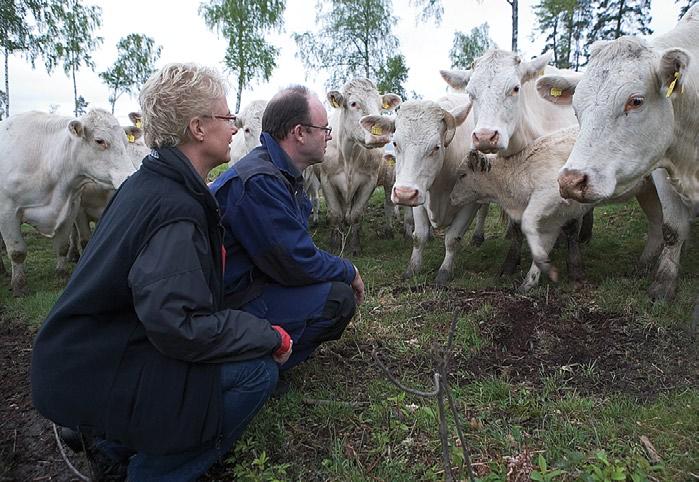 Stjernsunds Gård Stjernsunds Gård är ett lantbruksföretag som drivs av makarna Inga-Lill och Mikael Gilbertsson. Företaget är ett modernt lantbruksföretag med verksamheter inom bl.a. växtodling, nötköttsproduktion, äggproduktion och skogsbruk.