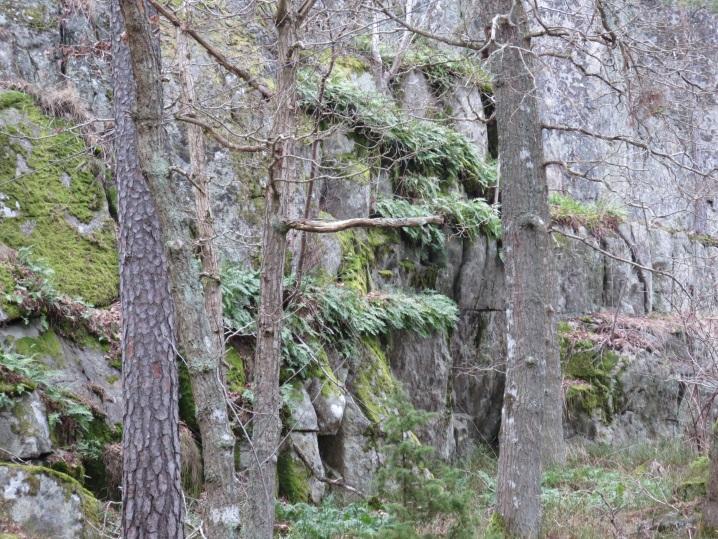 En ny vändplan byggs intill fastigheten nr 1:784. Strax väster om vändplanen fylls vägen upp c:a 1 meter över befintlig väg.
