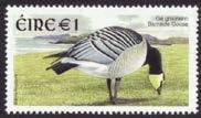 Gåsräkningar /Goose-counts Lars Gezelius och Bengt Andersson Under våren genomfördes två räkningar och under hösten sju (räkningen 17 okt misslyckades p.g.a. dimma, vilket faktiskt är första gången på många år som räkningen hindrades p.